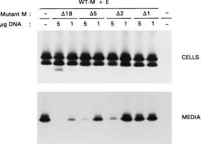 FIG. 7