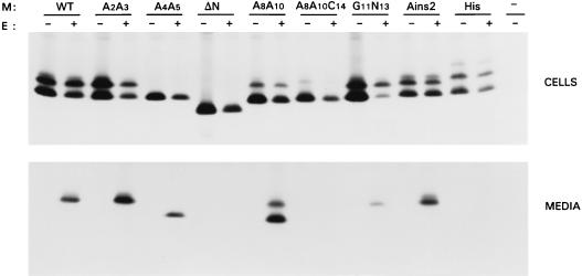 FIG. 5