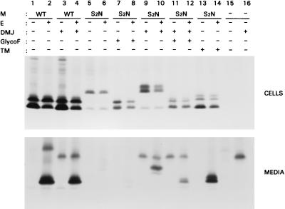 FIG. 6