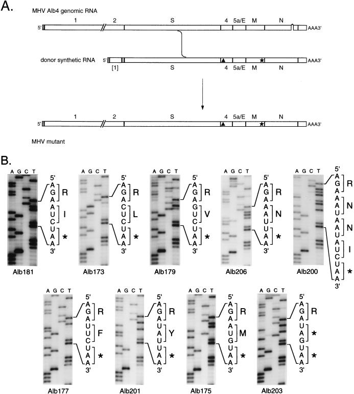 FIG. 10