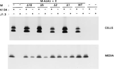 FIG. 9