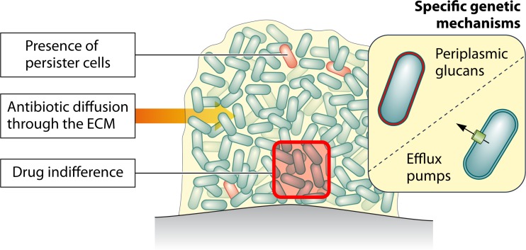 FIG 2