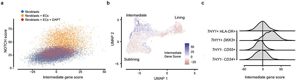 Extended Data Figure 7.