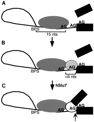 FIG. 5