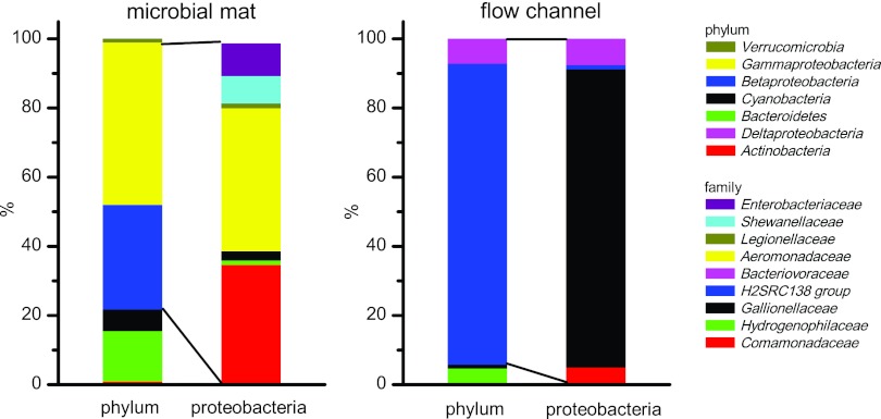 Fig 7