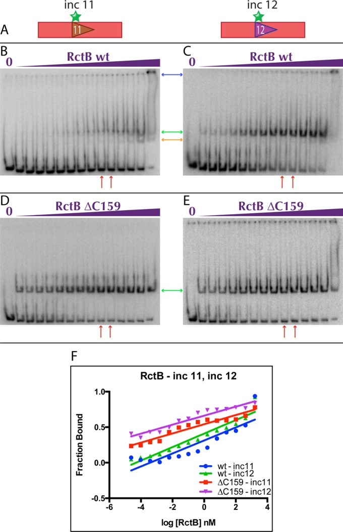 FIG 2 