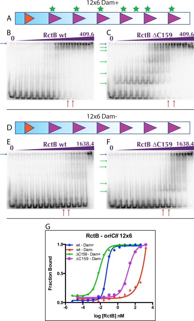 FIG 3 