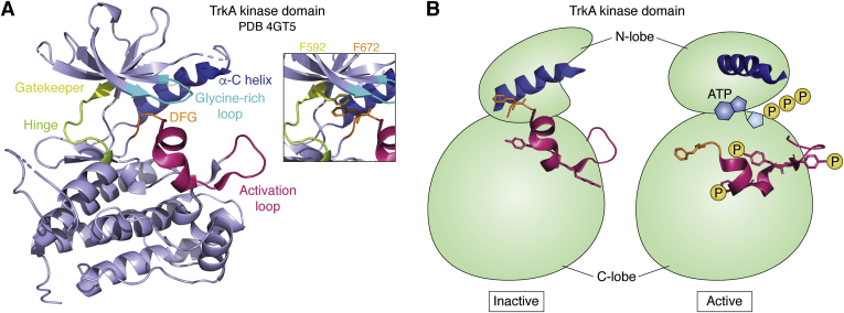 Figure 3