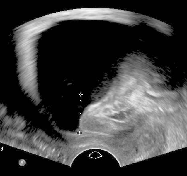 graphic file with name 117_2023_1215_Fig3_HTML.jpg