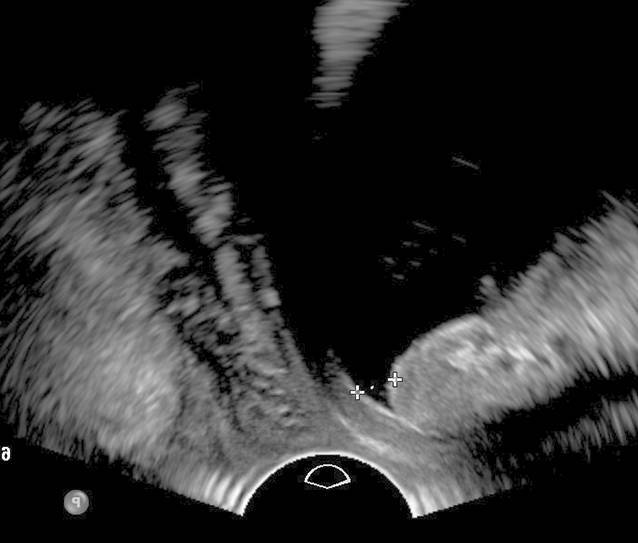 graphic file with name 117_2023_1215_Fig4_HTML.jpg