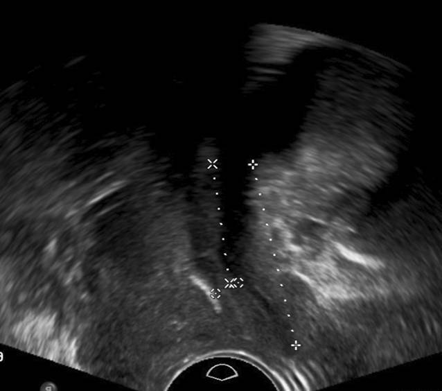 graphic file with name 117_2023_1215_Fig5_HTML.jpg