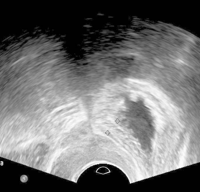 graphic file with name 117_2023_1215_Fig2_HTML.jpg