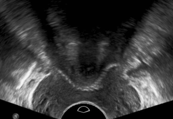 graphic file with name 117_2023_1215_Fig6_HTML.jpg