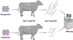 Graphical Abstract