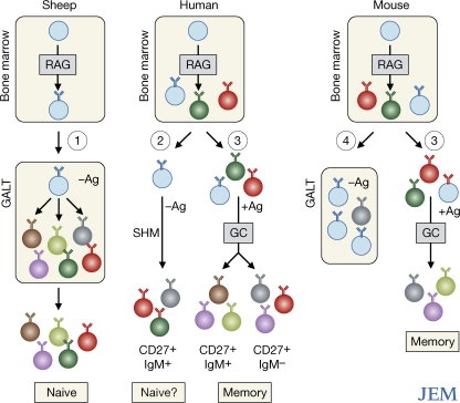 Figure 1.