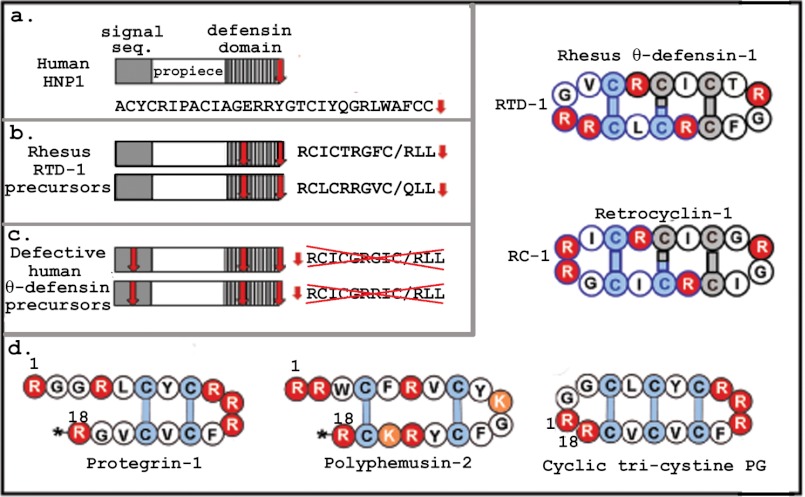 FIGURE 1.