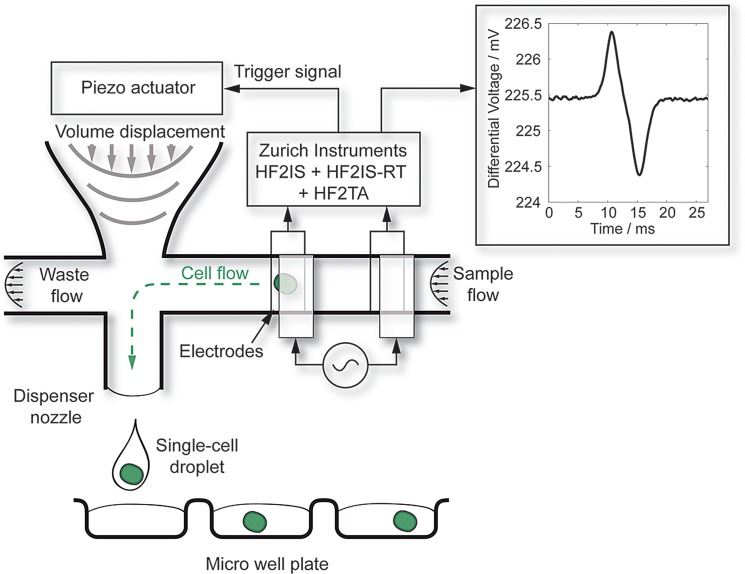 FIG. 1.