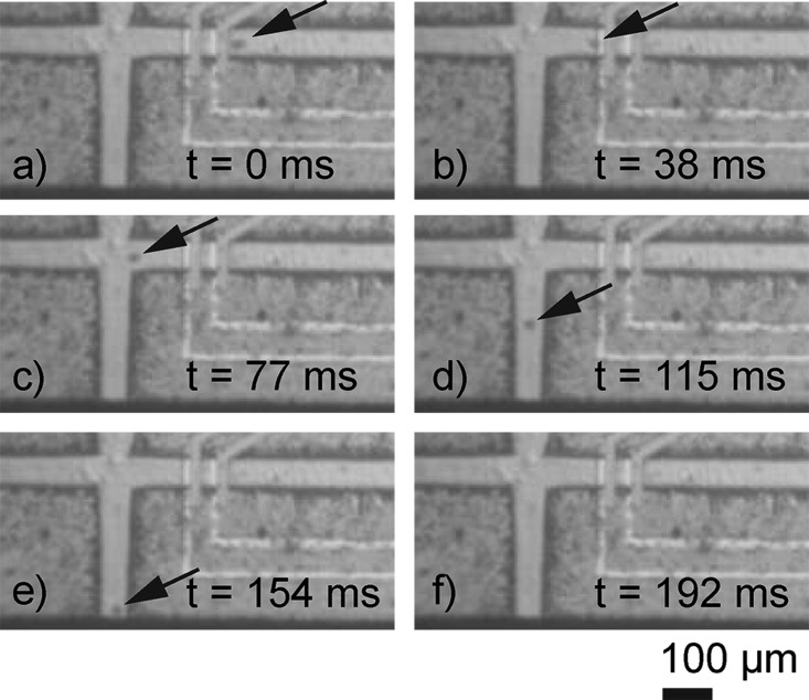 FIG. 10.