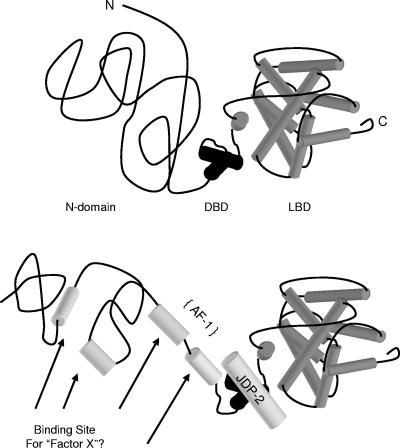 FIG. 10.