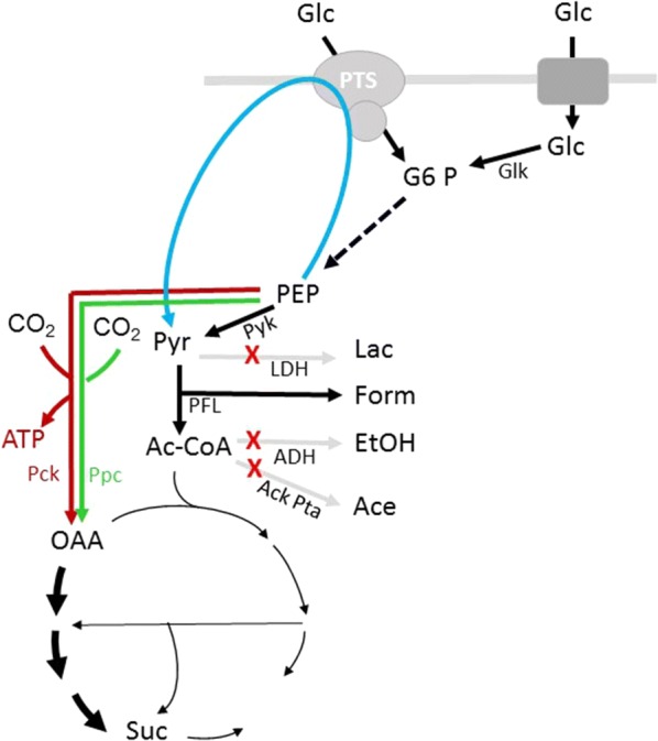 Fig. 1