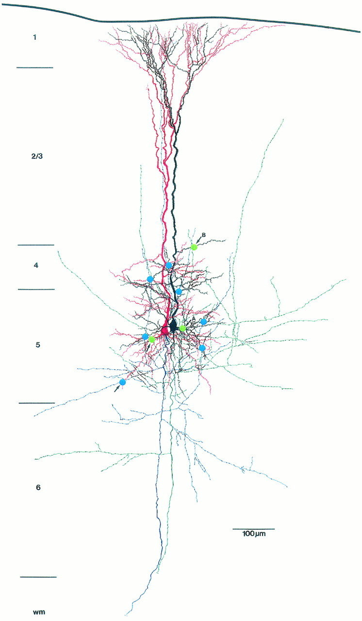 Fig. 4.