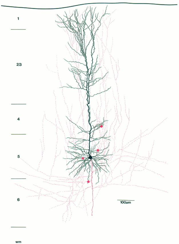 Fig. 2.