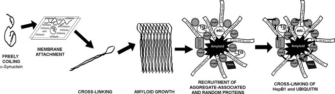 FIGURE 9.