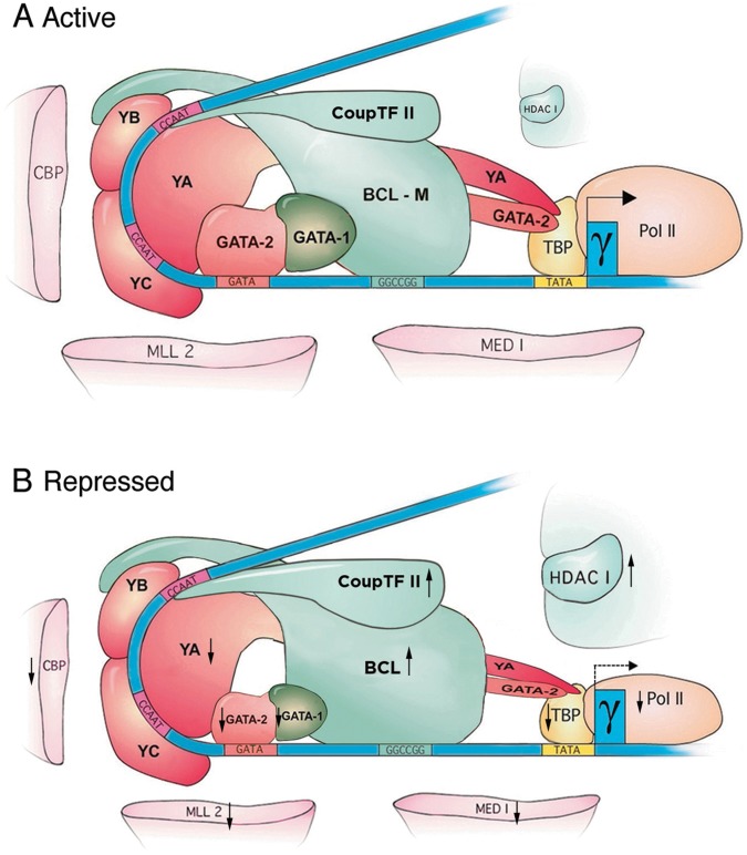 Figure 7