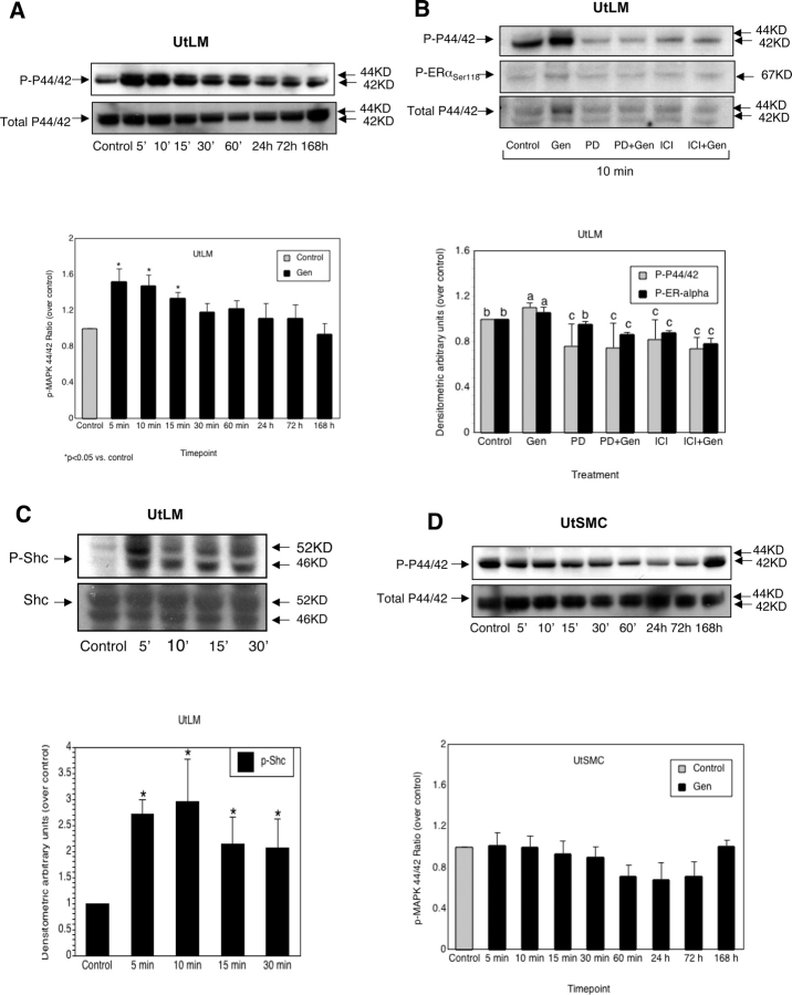 Figure 4: