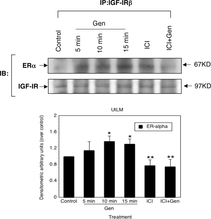 Figure 5: