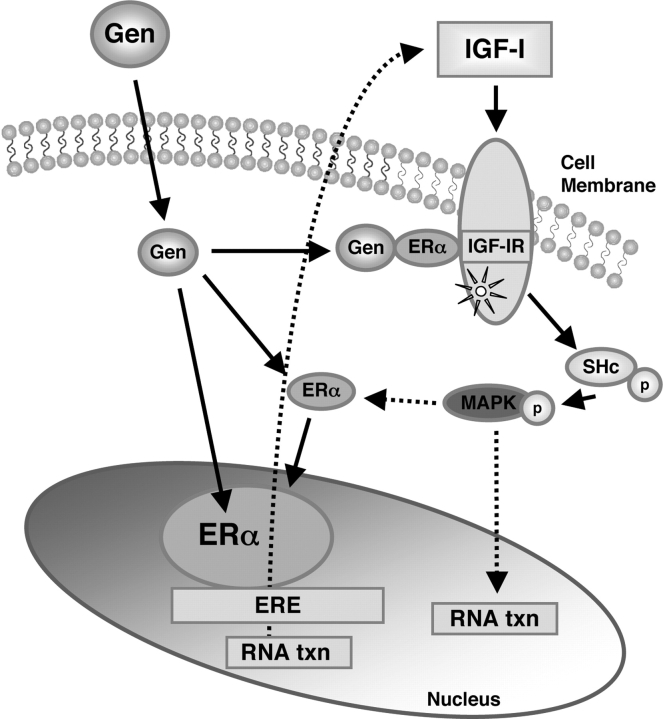 Figure 7: