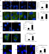 FIG 6