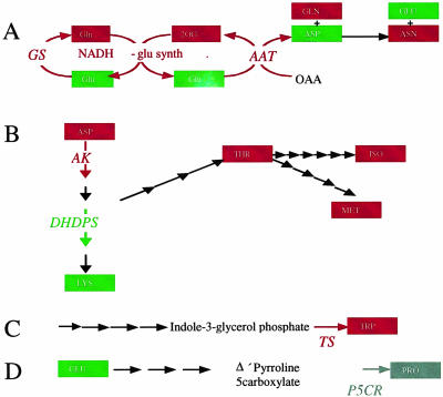 Figure 6.