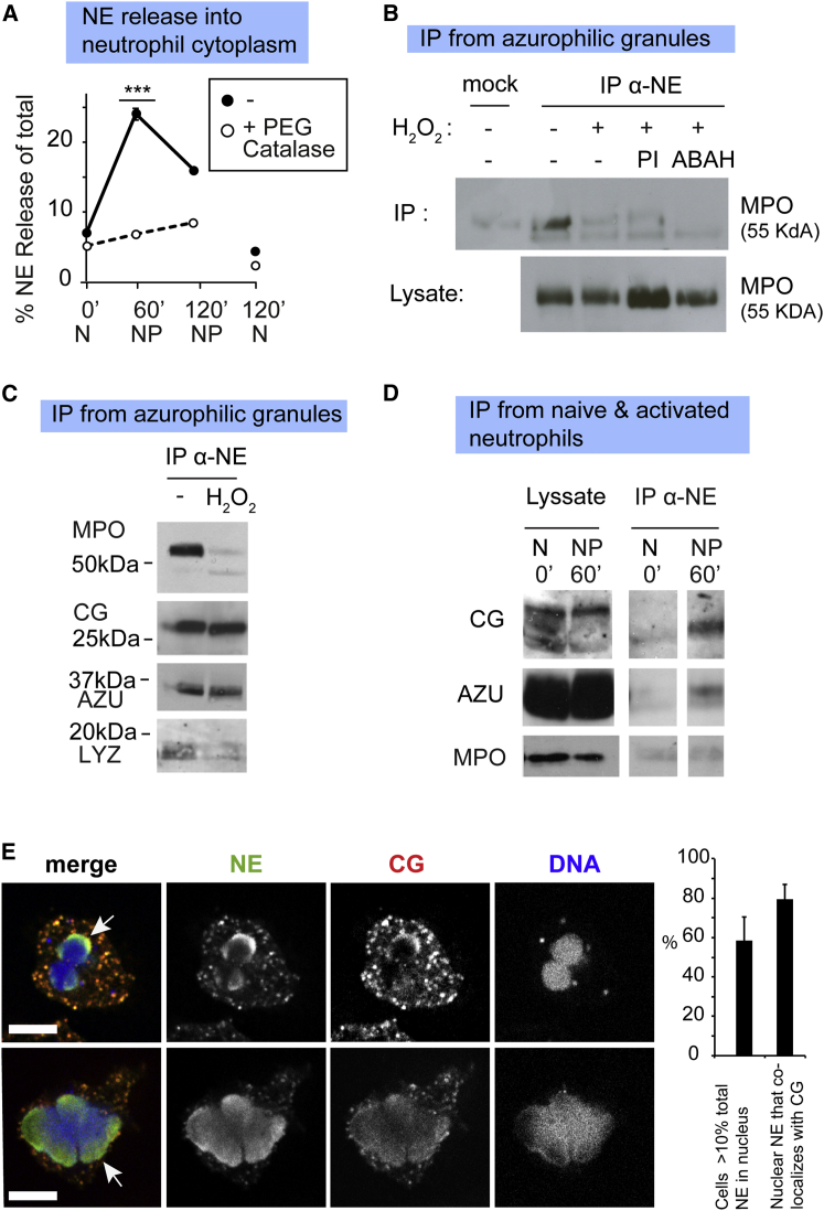 Figure 4