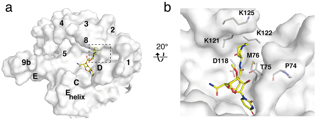 Figure 7.