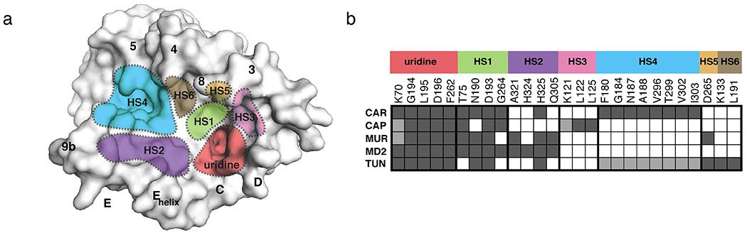 Figure 11.