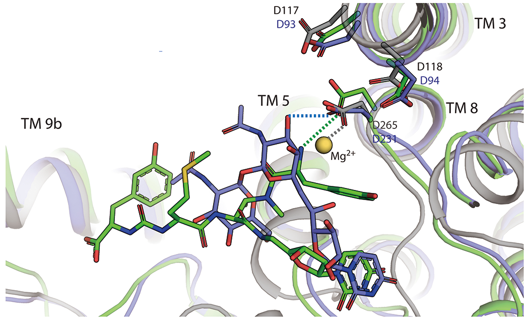 Figure 9.