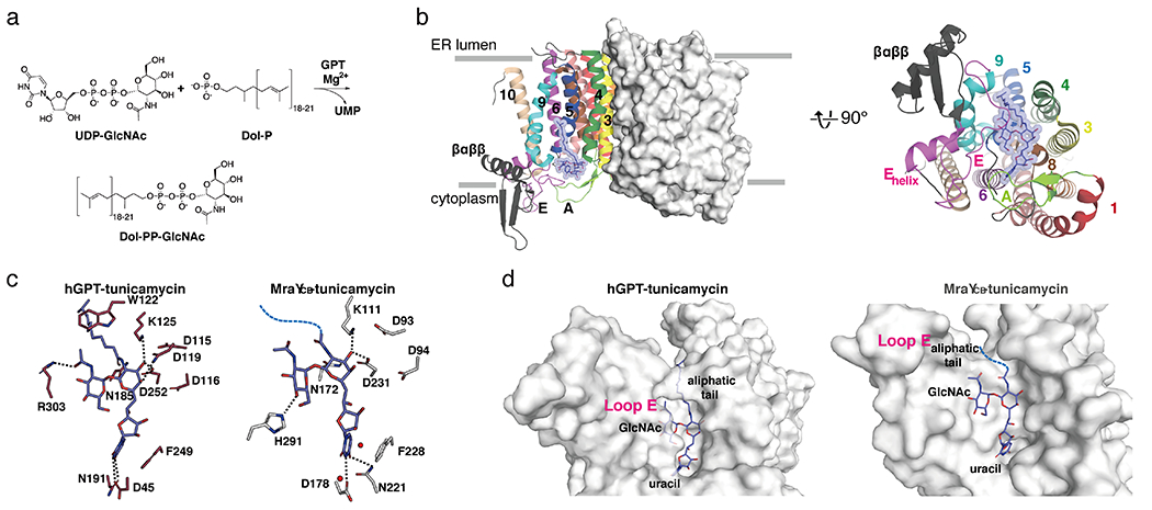 Figure 10.