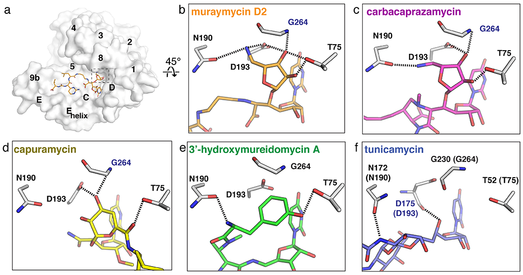 Figure 4.