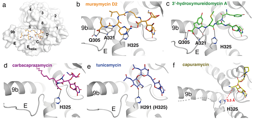 Figure 6.