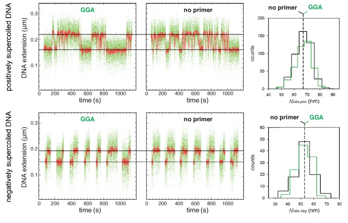 Figure 4—figure supplement 2.