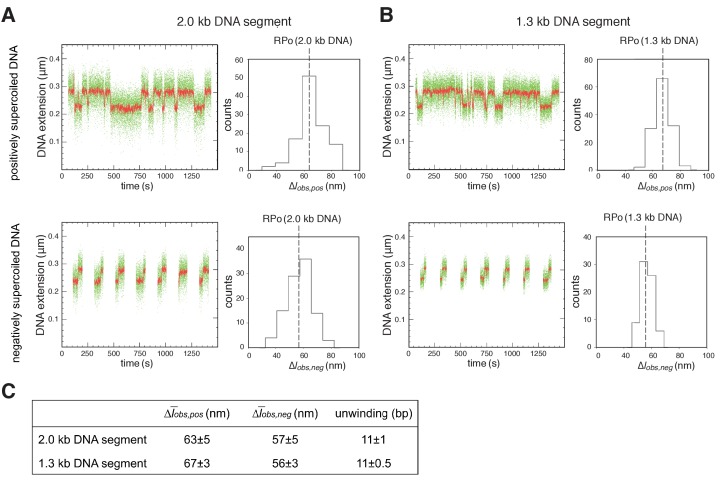 Figure 4—figure supplement 1.