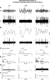 Figure 12.