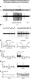 Figure 10.