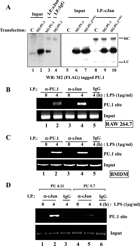 Fig. 4.