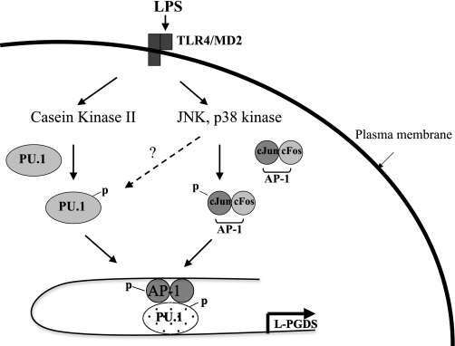 Fig. 7.