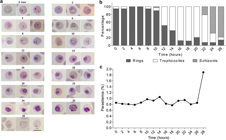 Fig. 3