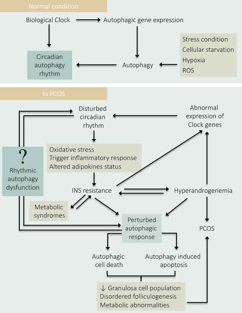 Figure 10.