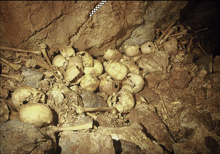 graphic file with name gr3_lrg.jpg