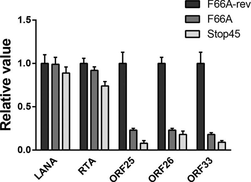 FIG 6